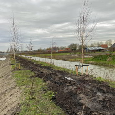 Groen zone Zevenhuis fase 1b is aangelegd